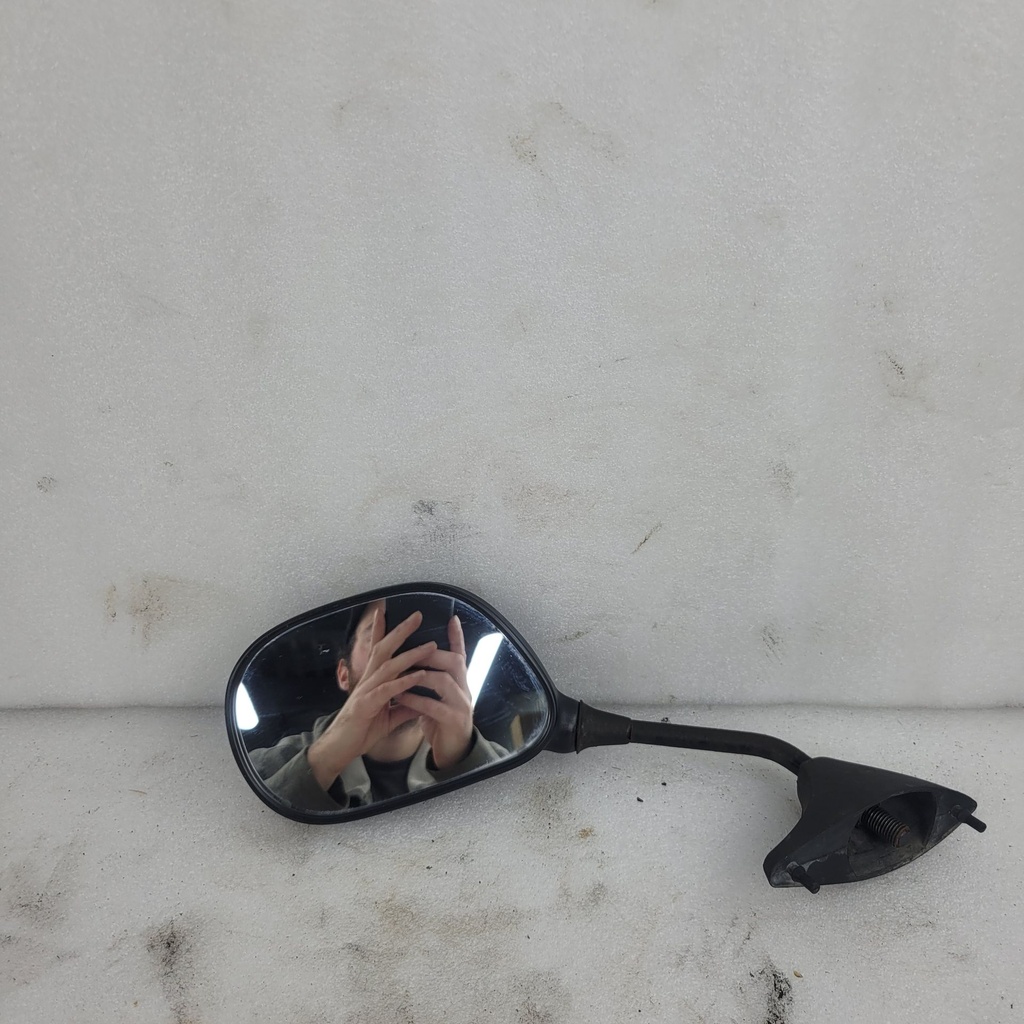 rear view mirror assy (left)