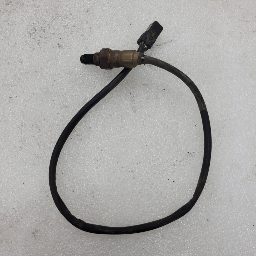 sensor, oxygen