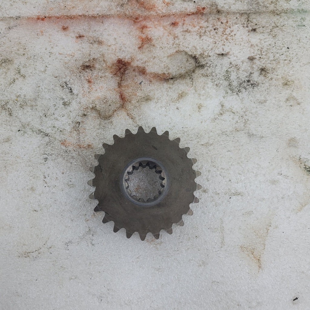 (new ref. 504153912) sprocket 25 teeth (large)