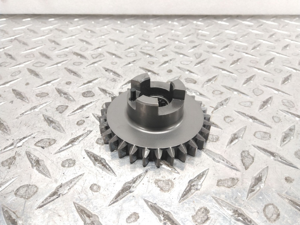 (new ref. 504154087) gear straight 29 teeth ass'y