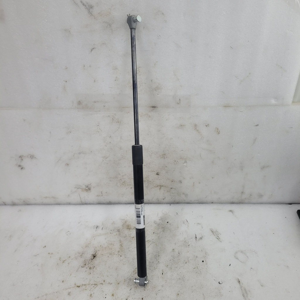 gas spring assy