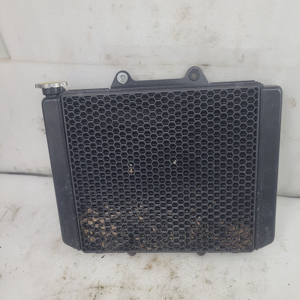 radiator assy