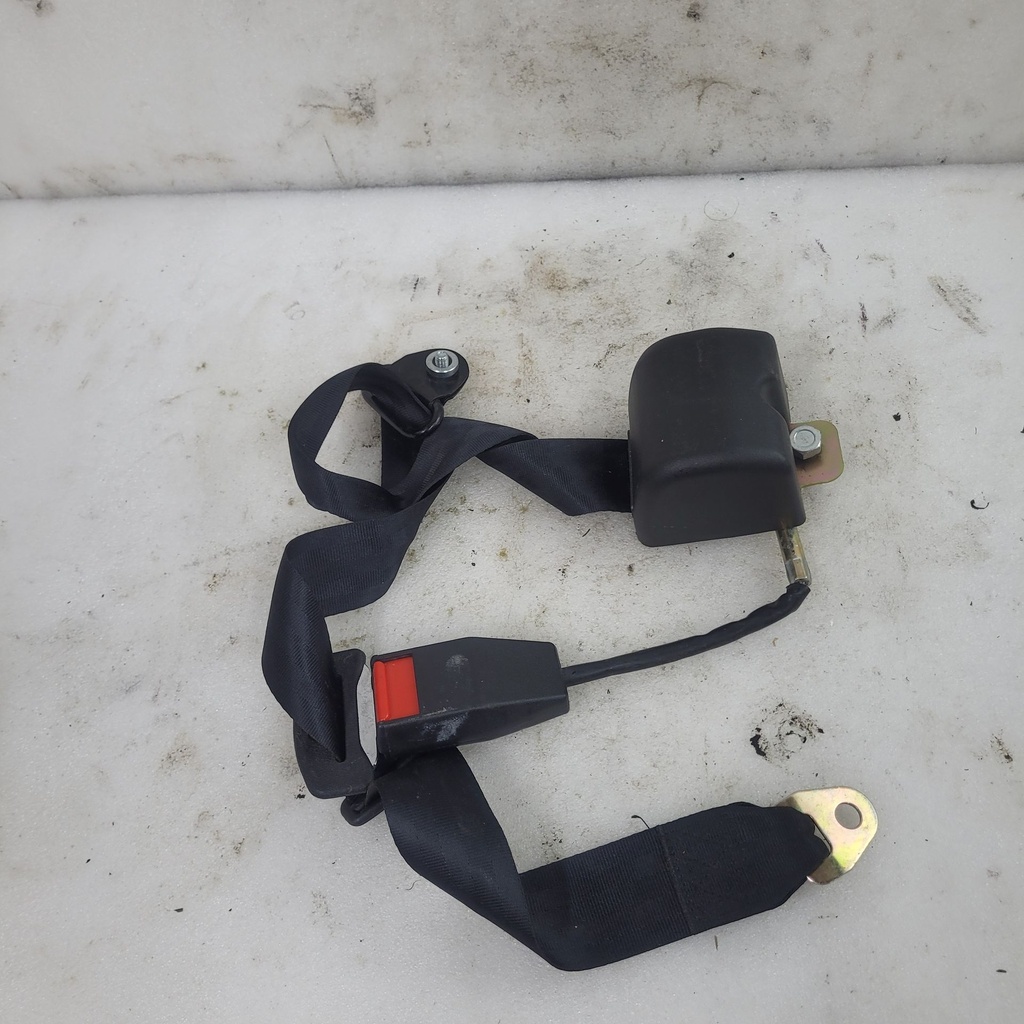 seat belt, passenger
