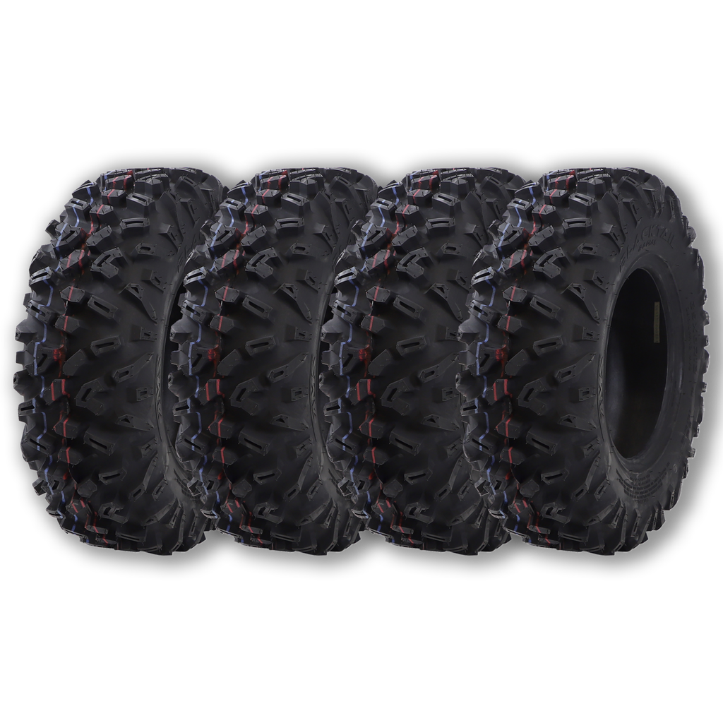 2x 25X8R12/25X10R12 6PR 62J GM-490 BLACKTAIL