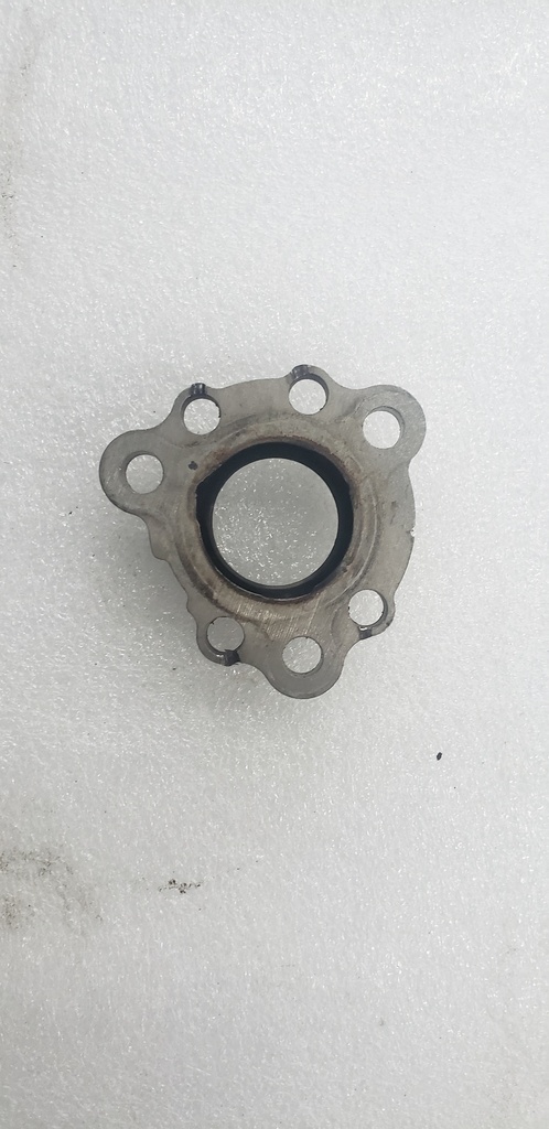 Exhaust Manifold