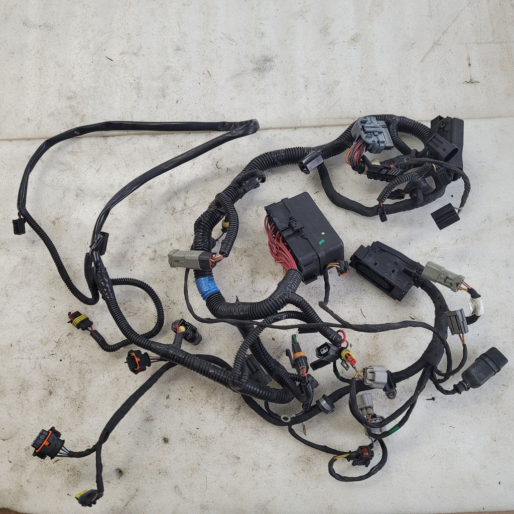 MAIN HARNESS