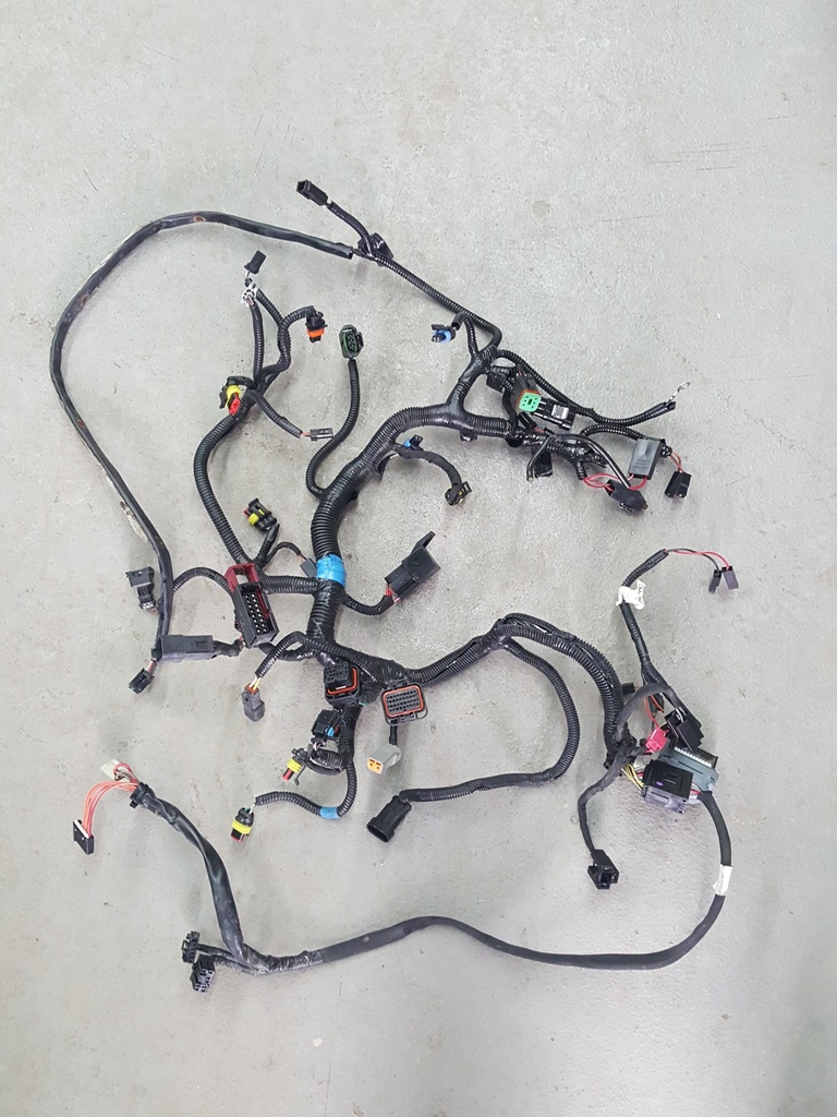 WIRING HARNESS MAIN 600HO,