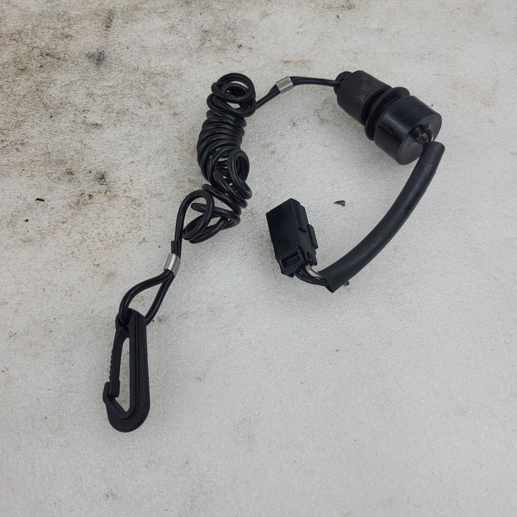 Double Switch Module