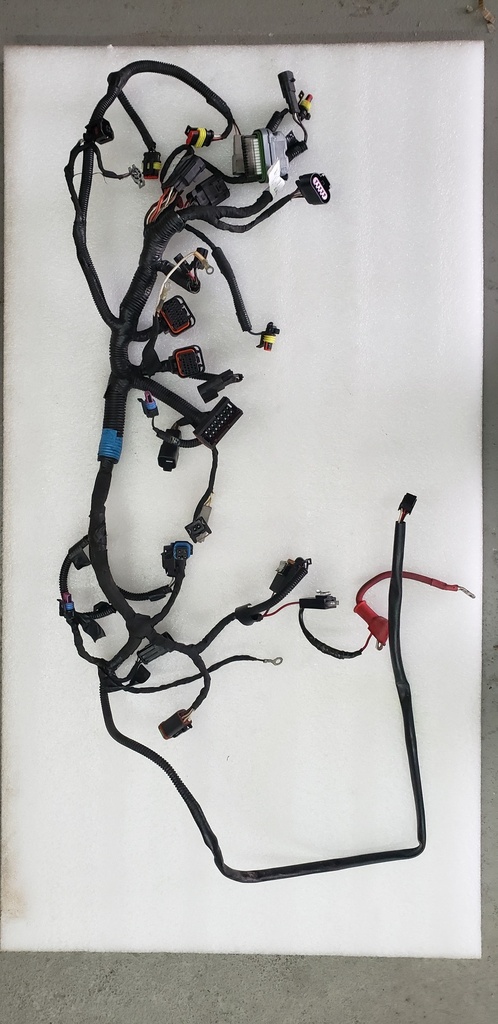 Main Wiring Harness Ass'y 600HO E-TEC
