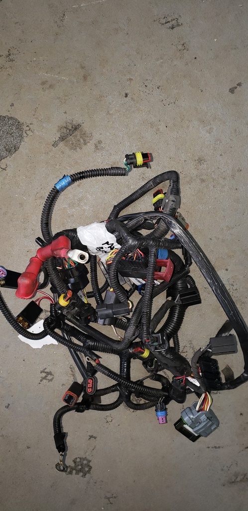 BOMBARDIER Frame Harness 800RE Excep - 515177384
