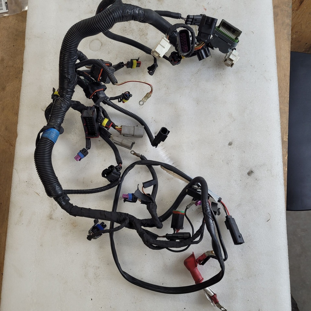 Main Harness