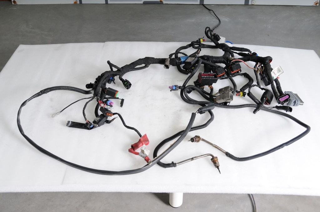 main harness 800r e-tec except package-enduro