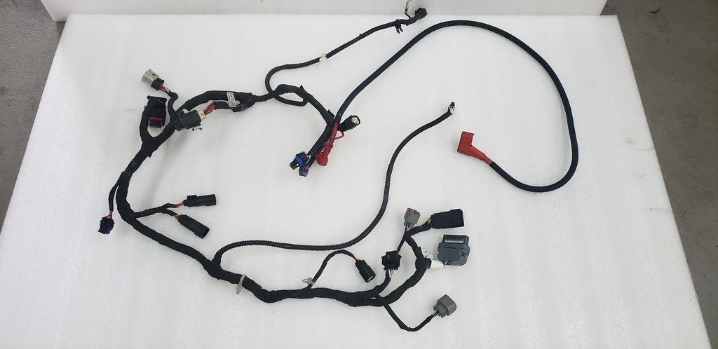 main harness