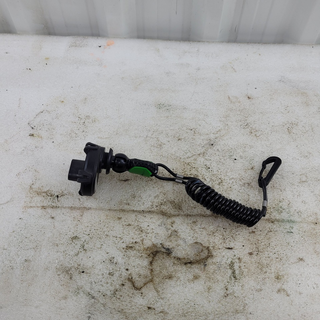 (new ref. 515178840) dess switch, rfid