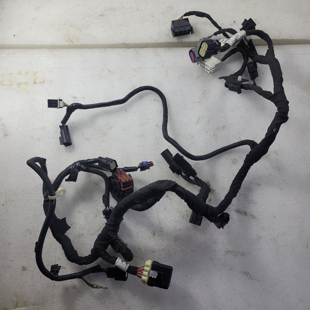 main harness