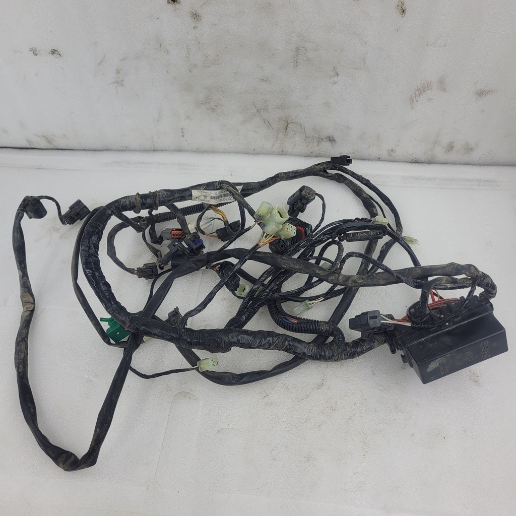 harness, main (inc. 2-6)