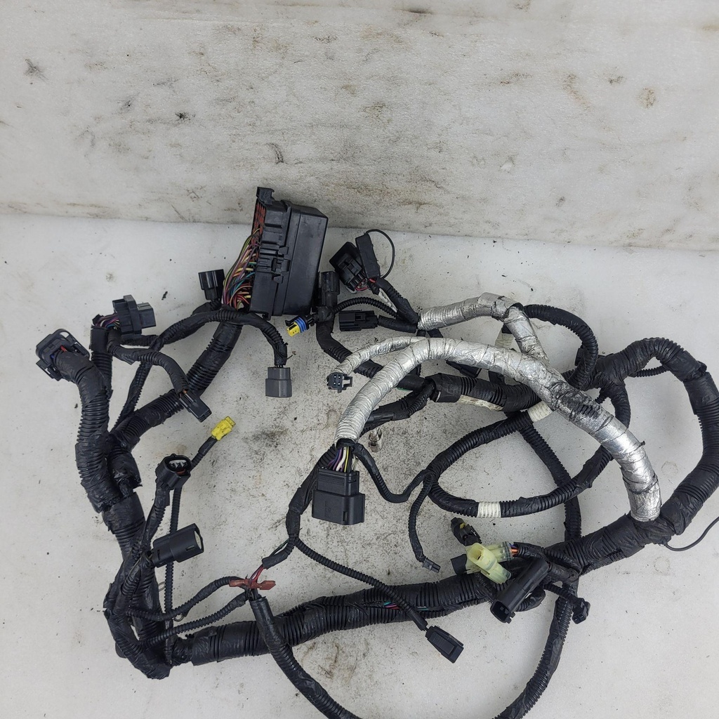 harness, main (inc. 13-19)
