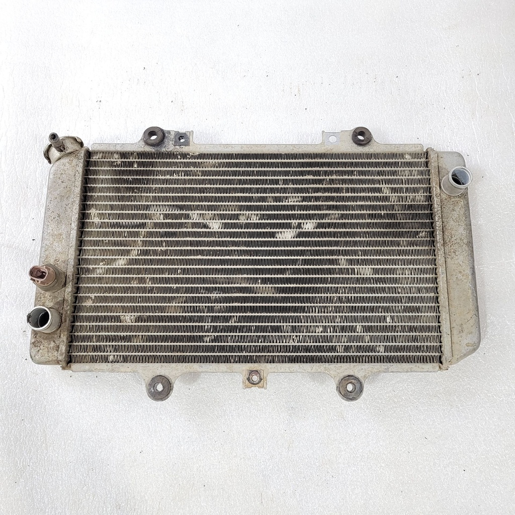 Radiator Assy (USA)