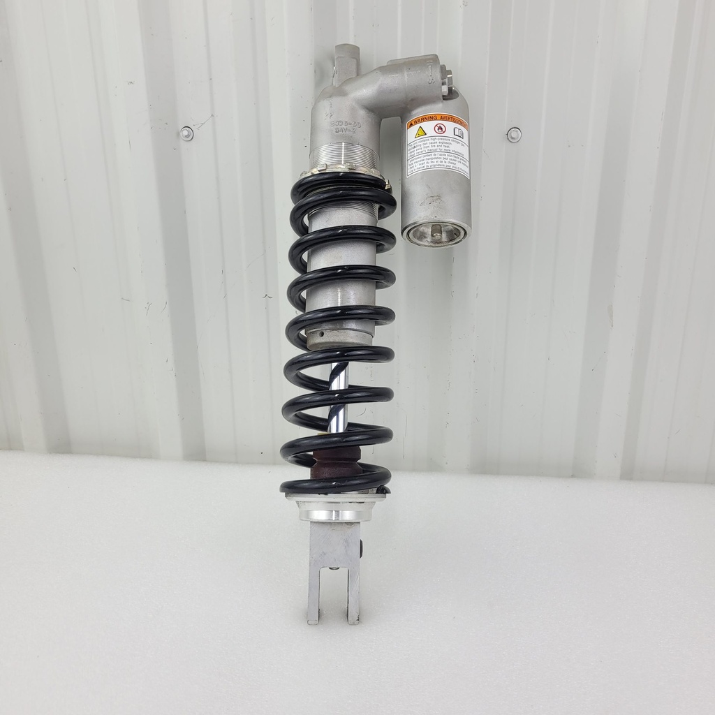 ABSORBER ASSY, REAR SH