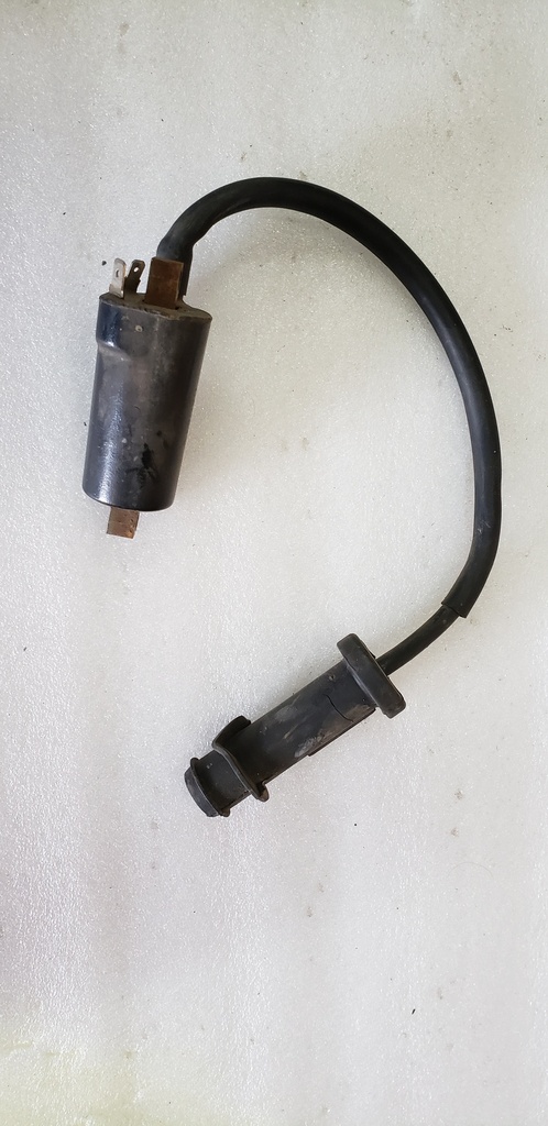Coil, Ignition - Assembly