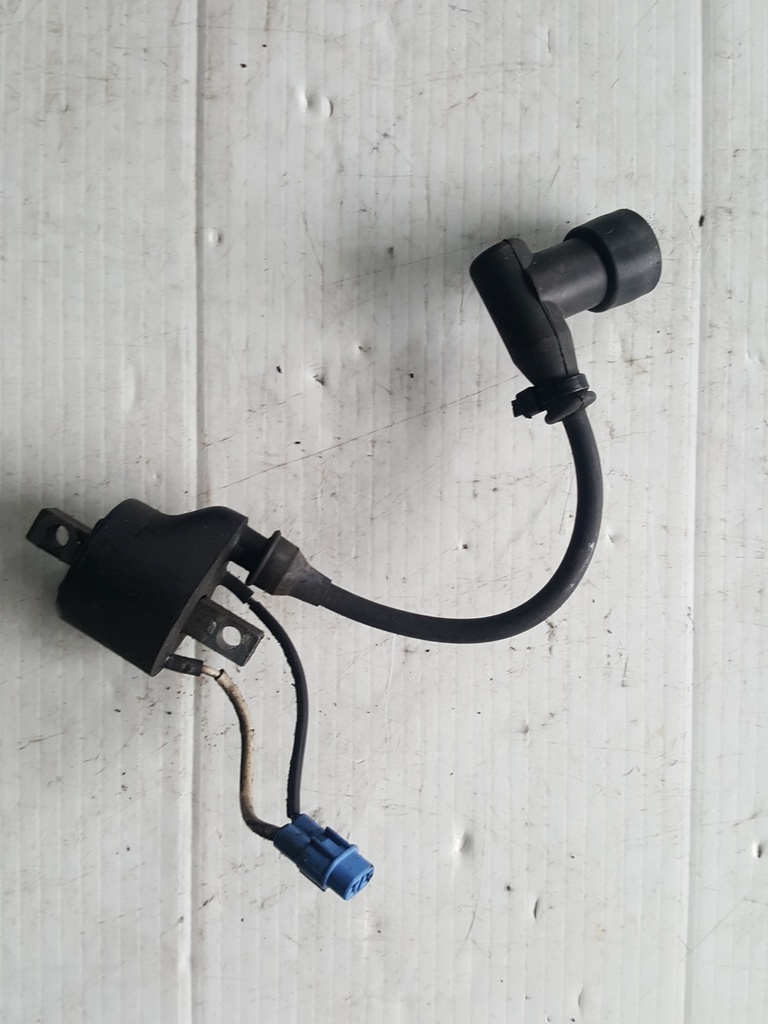 coil, ignition - assembly (inc. 31)