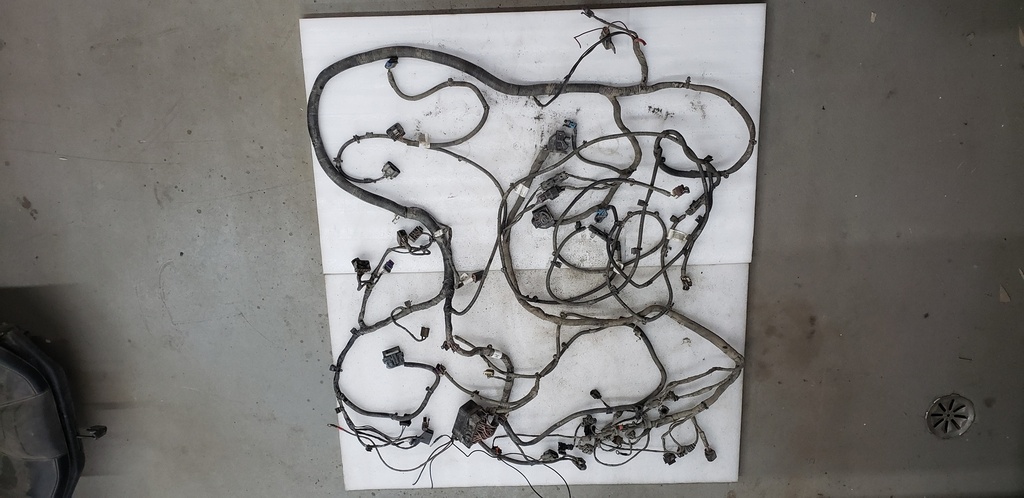 Main Harness - 710005644 CAN AM