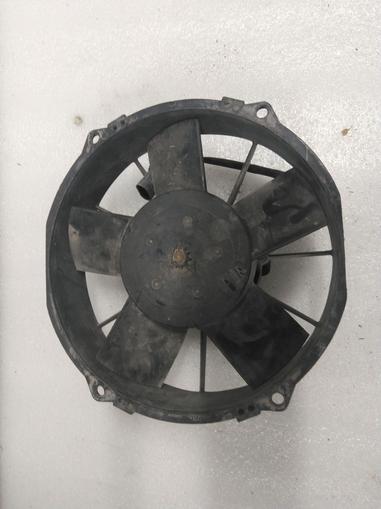 Fan