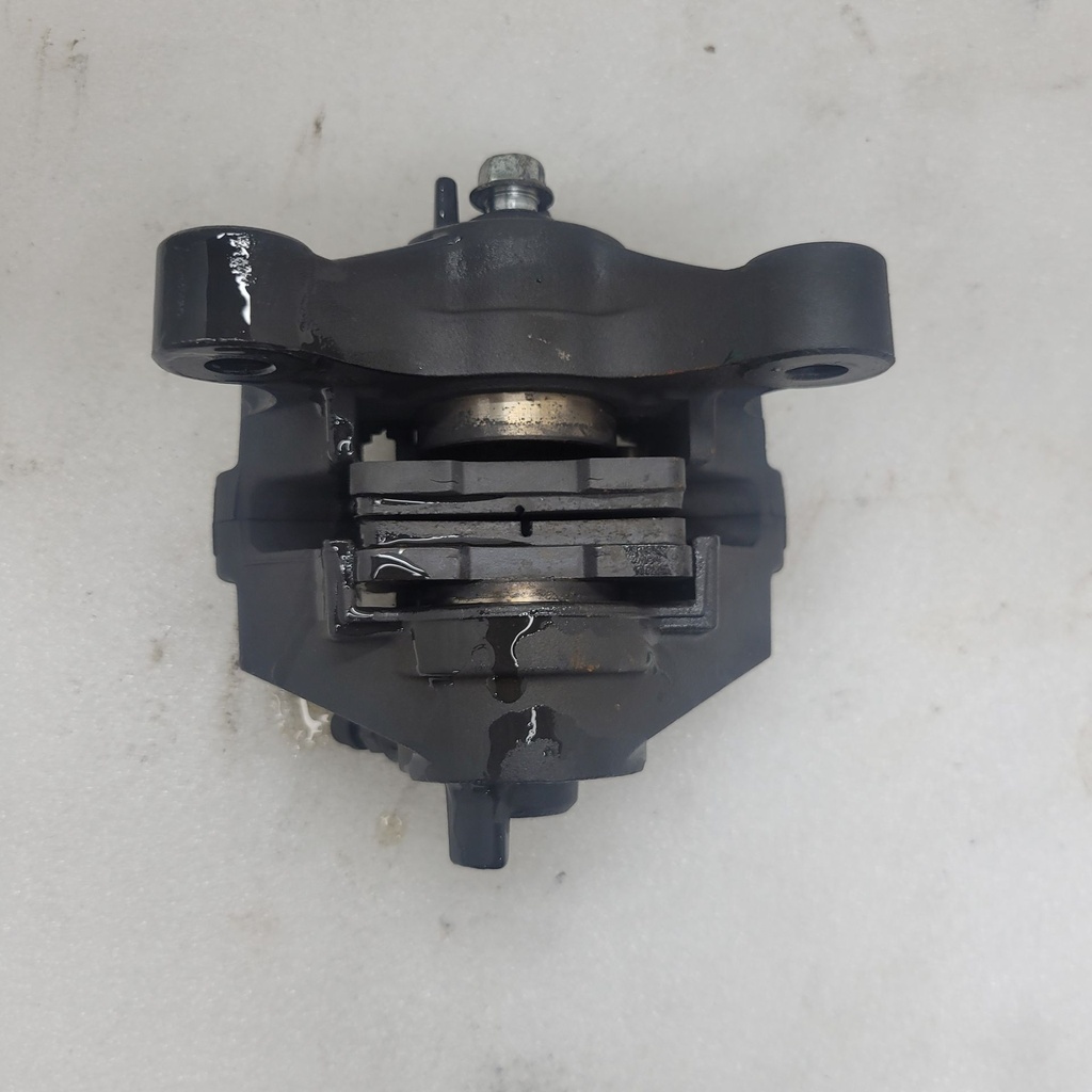 caliper assy (left)