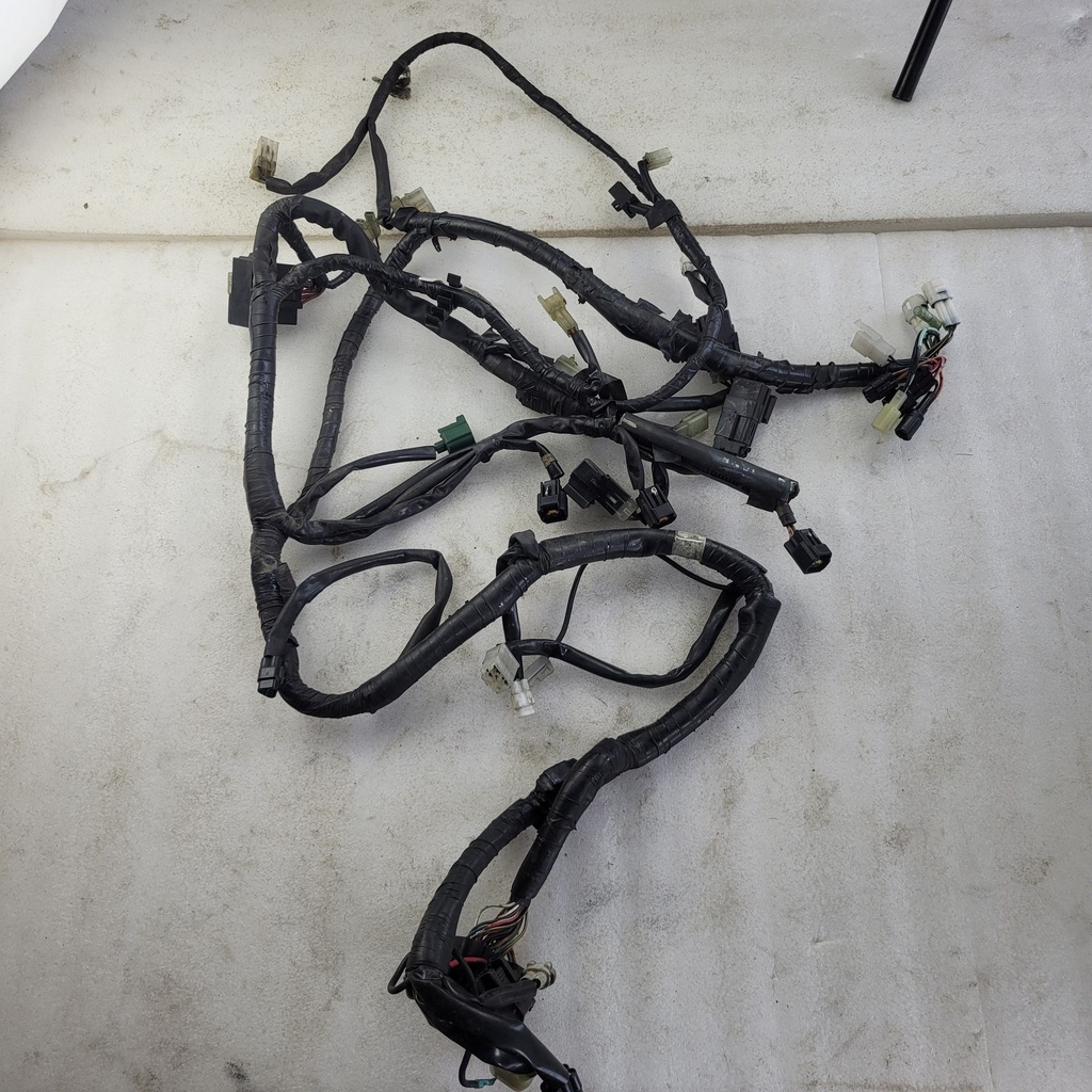 Wire Harness Assy