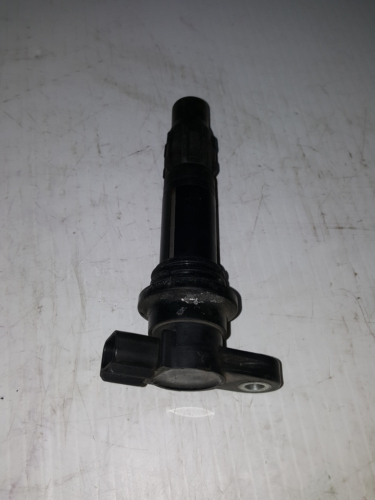 Ignition Coil Assy