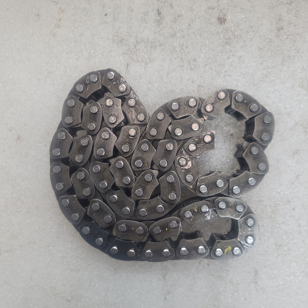 chain, bwa 13 (86l)
