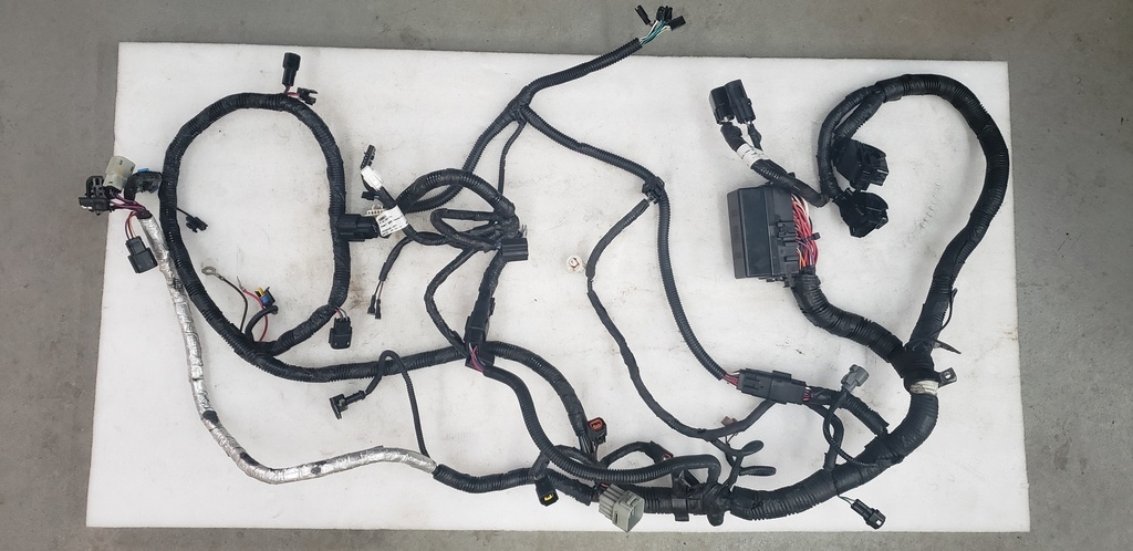 Wire Harness Assy - 8LJ-H2590-00-00 YAMAHA