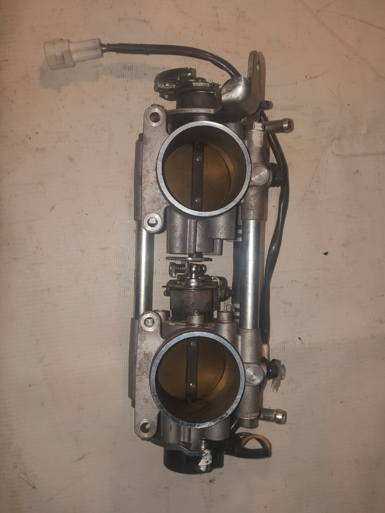 ASM-THROTTLE BODY,600 F-LEAD