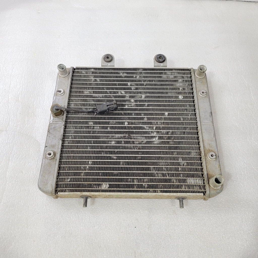 VGT CARB RADIATOR ASSEMBLY, 324
