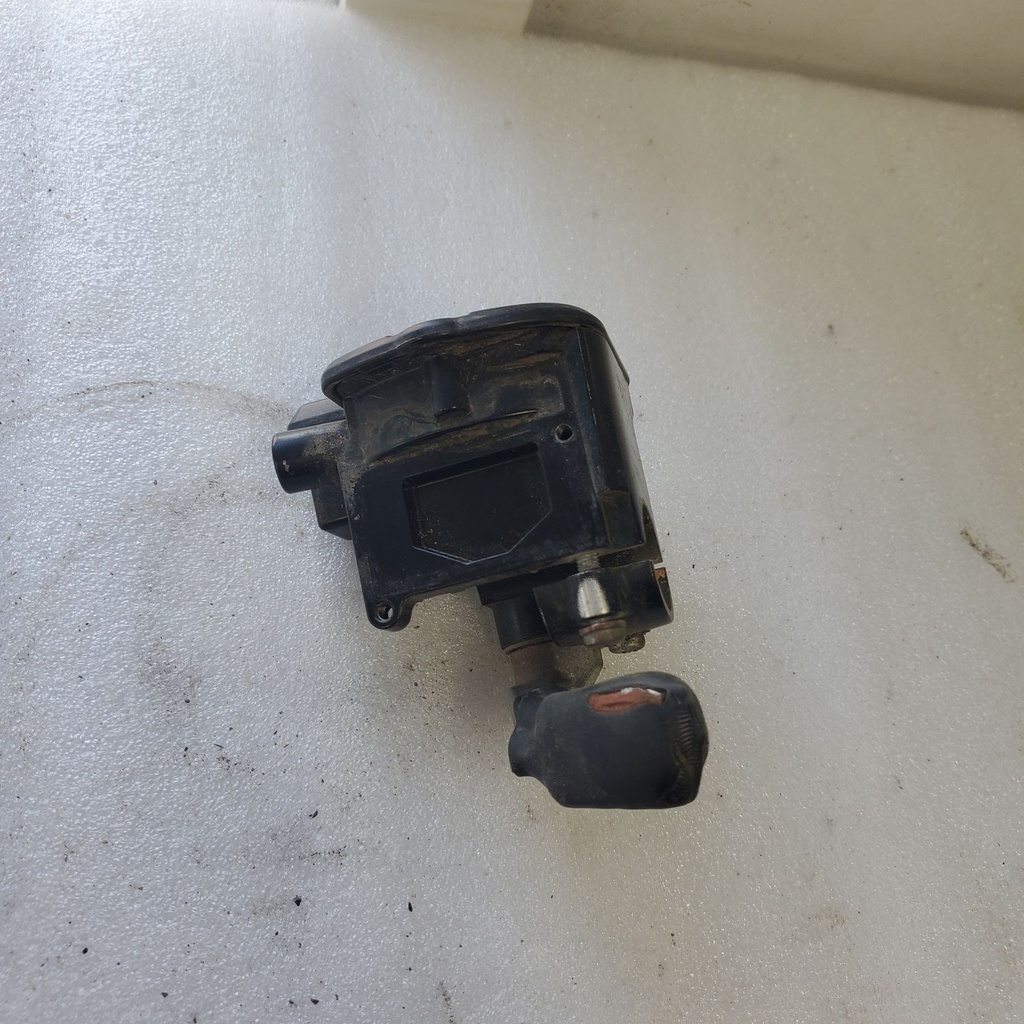 Throttle Lever Assy