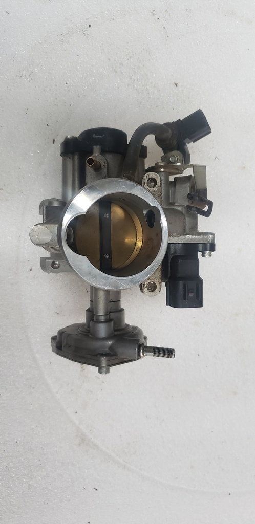 Throttle Body Assy