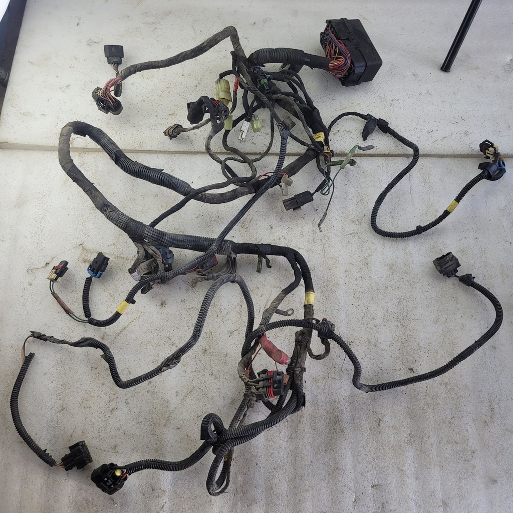 HARNESS ASS'Y - CAN-AM - 710004842