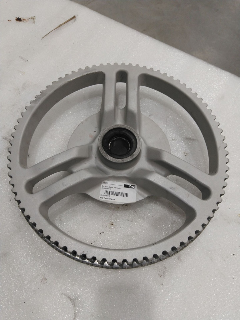 silver - pulley ass'y, 79 teeth package-std australia, brazil, europe, japan