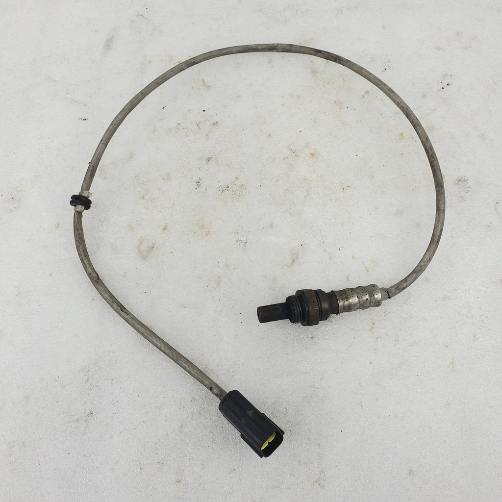oxygen sensor