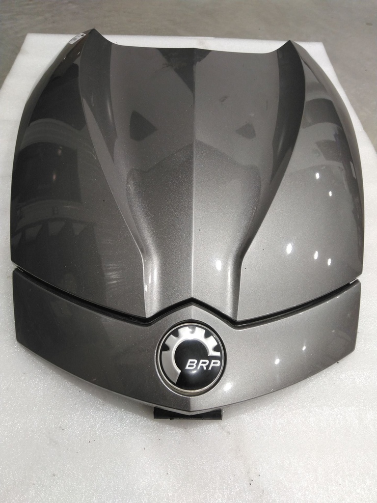 Hood, Metallic Magnesium RS