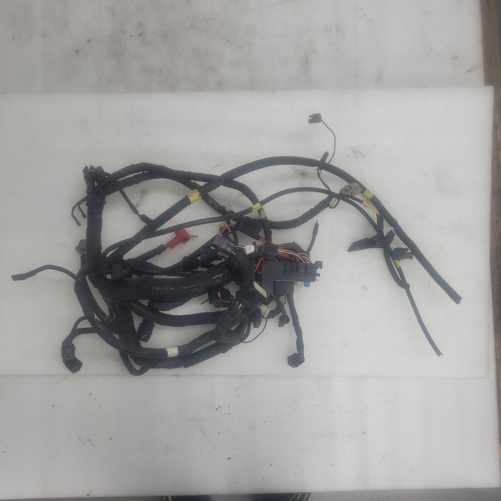 Harness, Main (inc. 11-19)