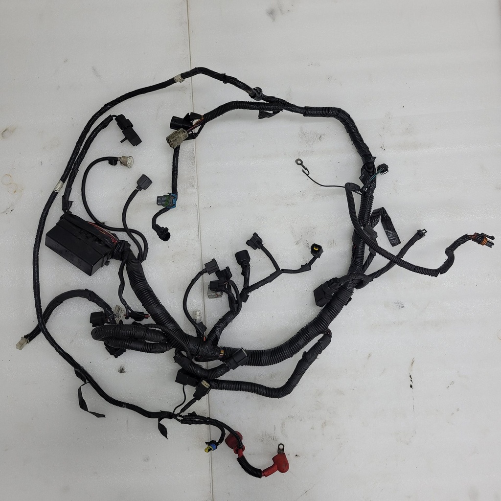 Harness, Main (inc. 11-19)