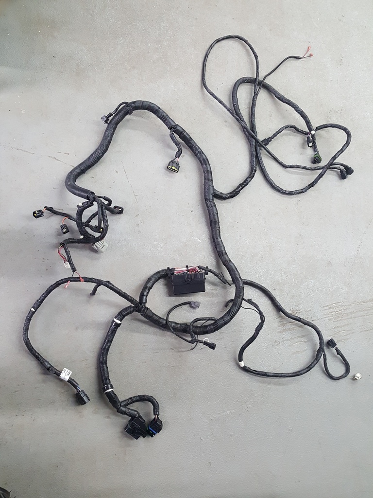 harness, main (inc. 10-17)
