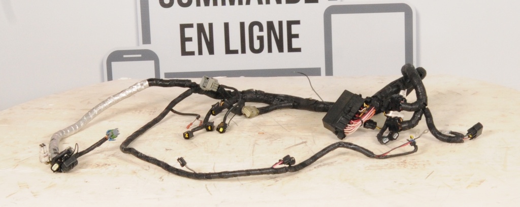 Harness, Main (inc. 8-16)