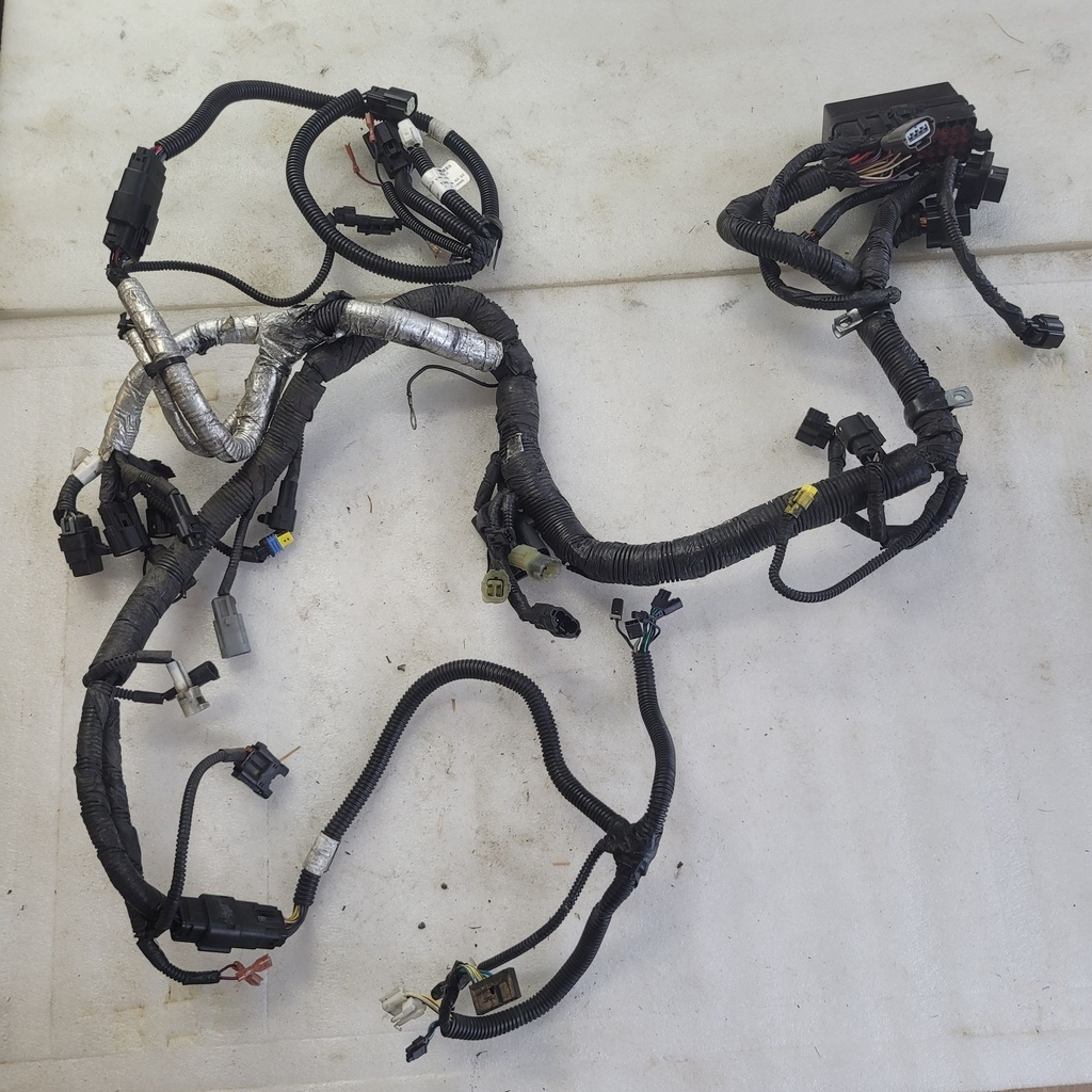 Harness, Main