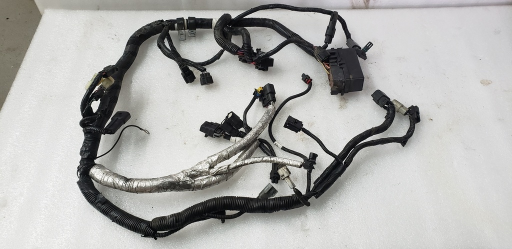 Harness, Main (inc. 13-20)