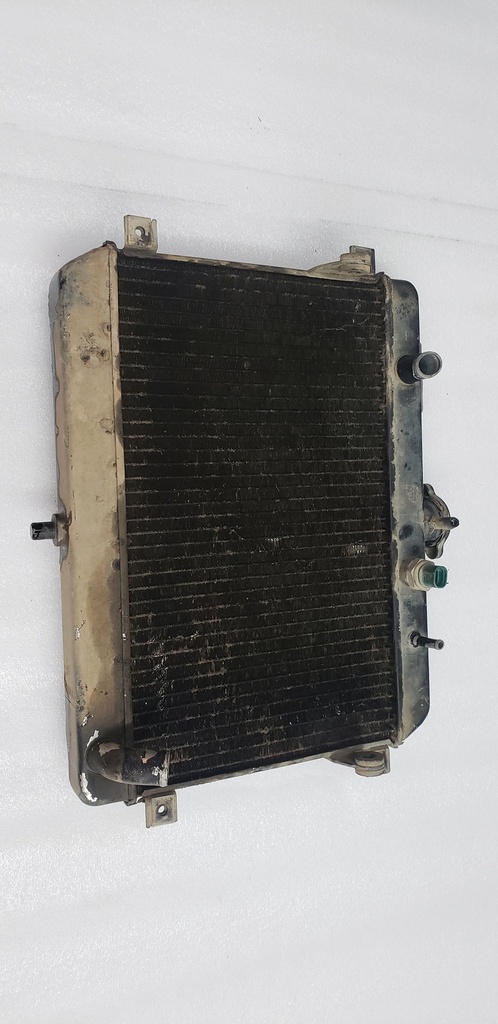 RADIATOR ASSY - 17710-09F00 suzuki
