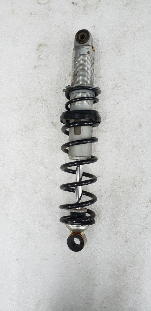 central shock model north america