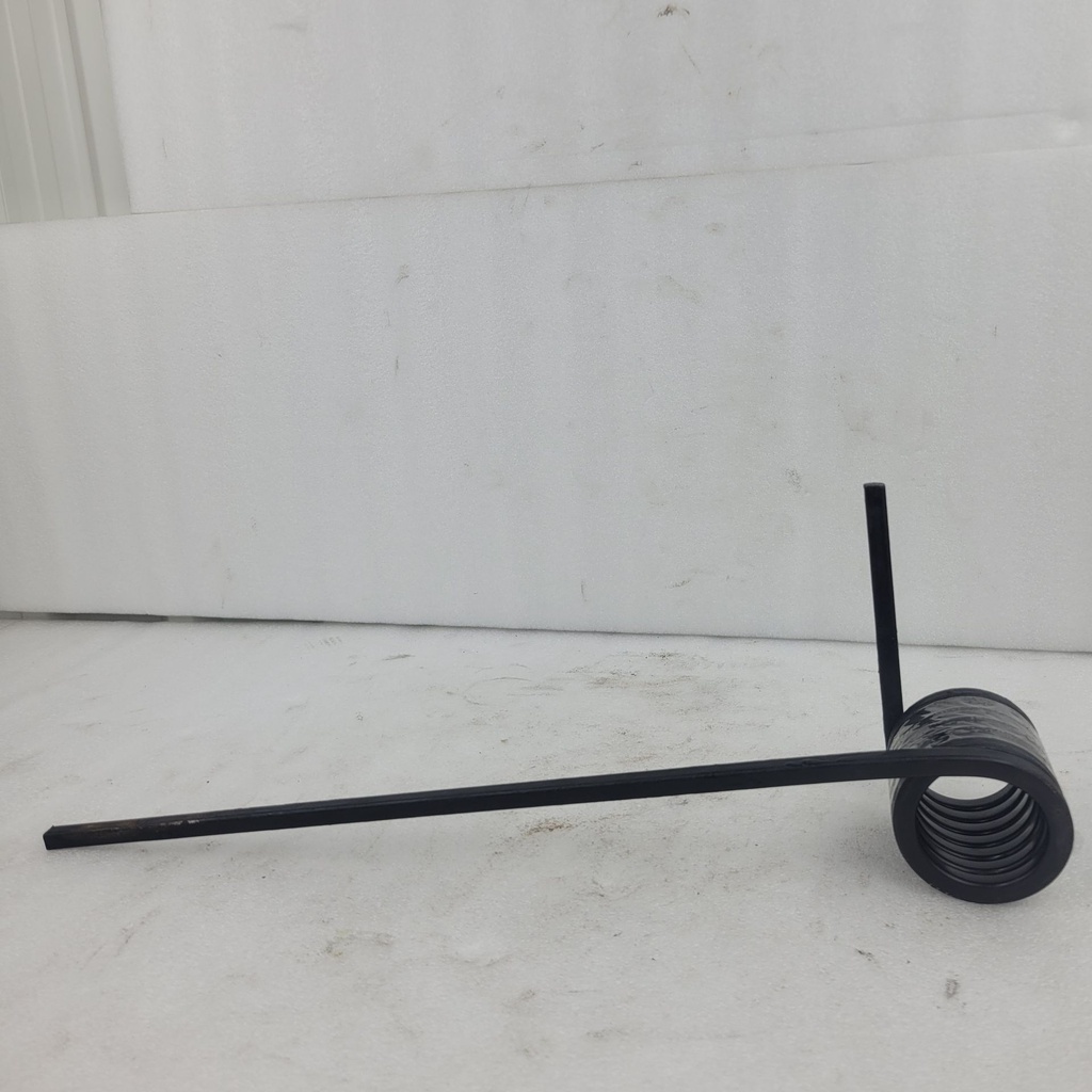 spring, suspension - right