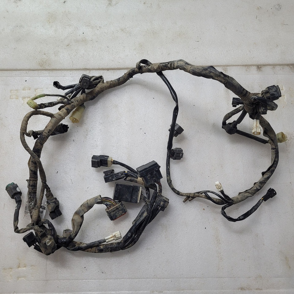 Wire Harness Assy
